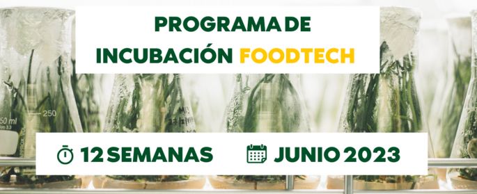Programa de incubación para proyectos foodtech